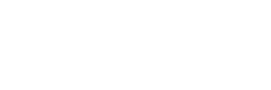 Skydio